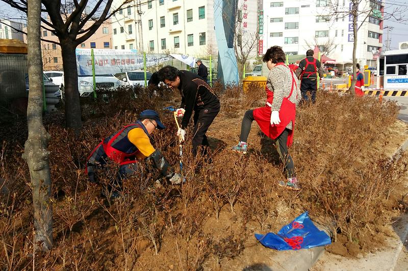 풍물시장_시장상인회와_강화군시설관리공단이_화단에_산철쭉을_식재하고_있다_1