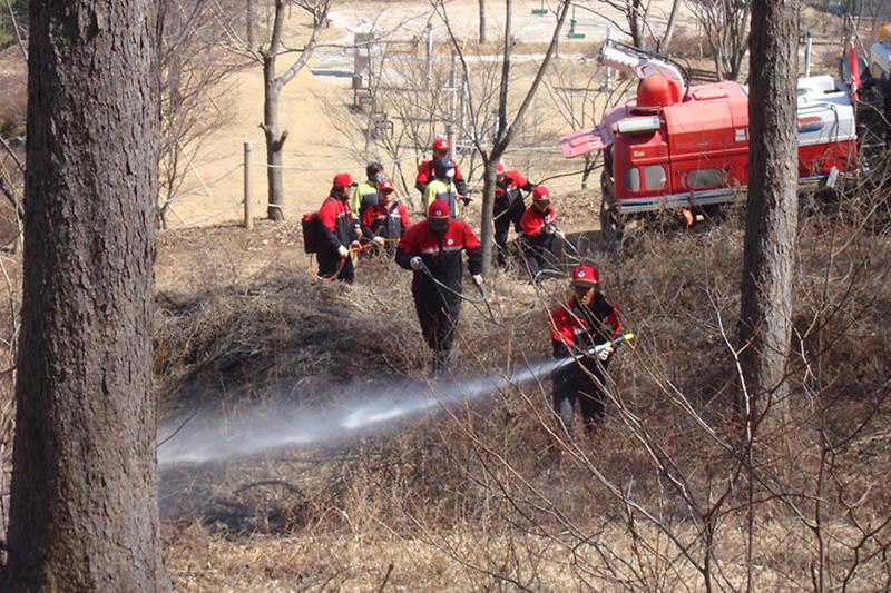 산불전문예방진화대가_산불을_진화하고_있다