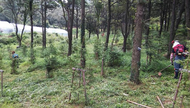 석모도휴양림_풀베기