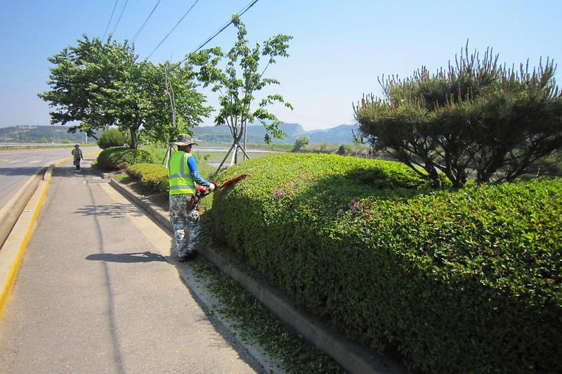 수목제거(가지치기)_2