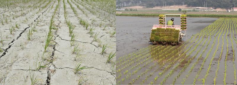 2015년과_2017년의_논