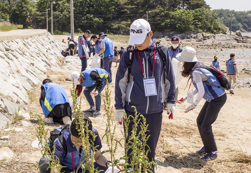 바다의_날_환경_대청결_운동