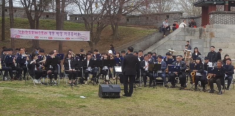북문_벚꽃_오케스트라2