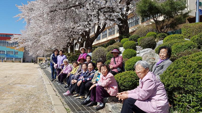 불은면_독거_어르신_봄나들이