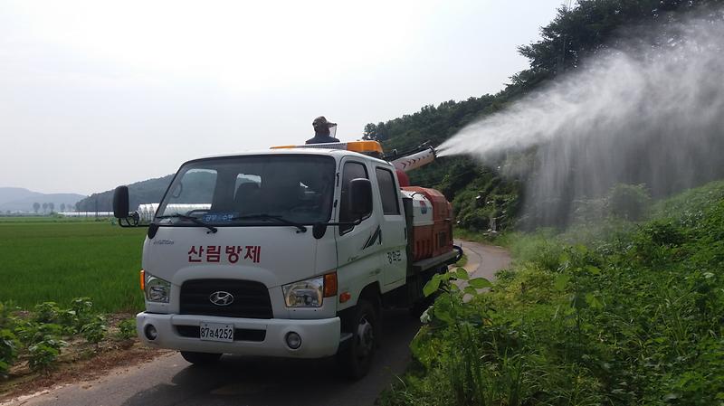 돌발_외래해충_집중_방제1