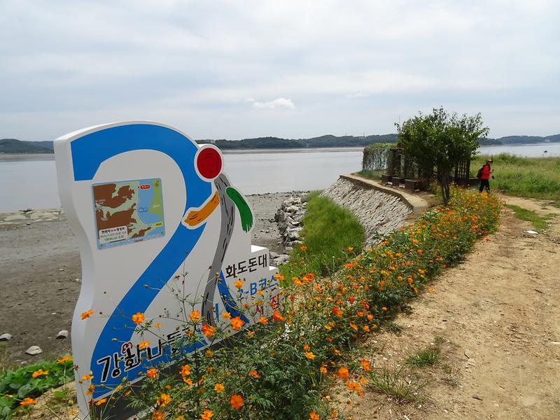 코스모스와 황금들녘 펼쳐진 ‘호국돈대길’ 사진