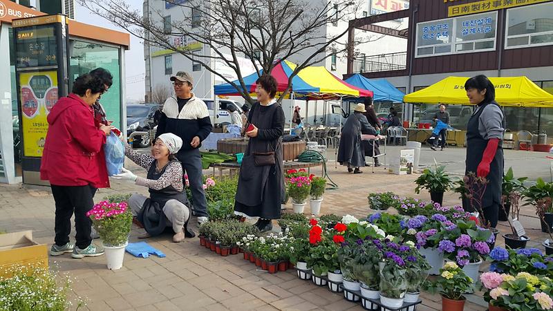 길상면_꽃시장1