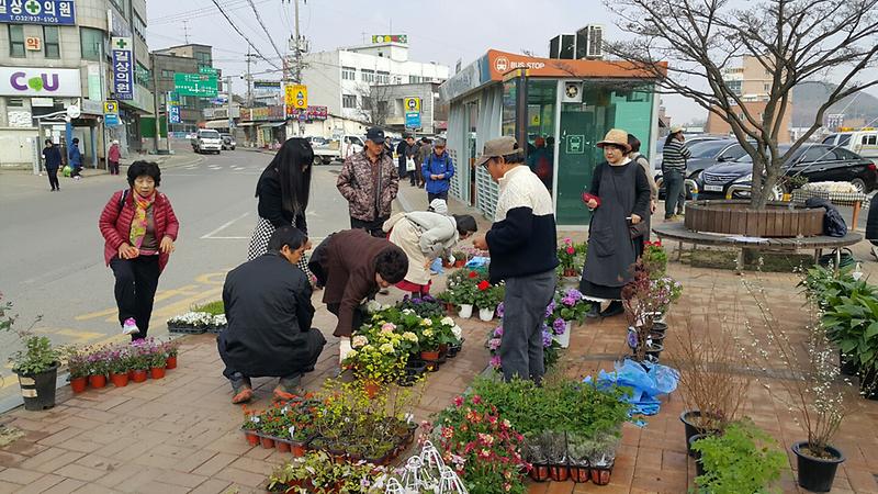 길상면_꽃시장2