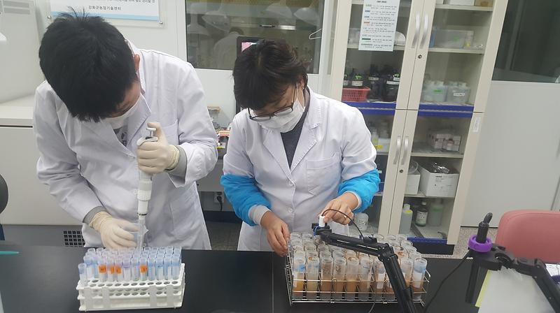 고시히카리_단지_토양_검사