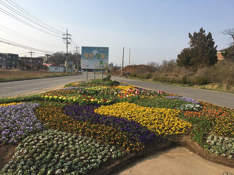 강화군, 가는 곳곳마다 특색 꽃길과 쉼터 조성 사진