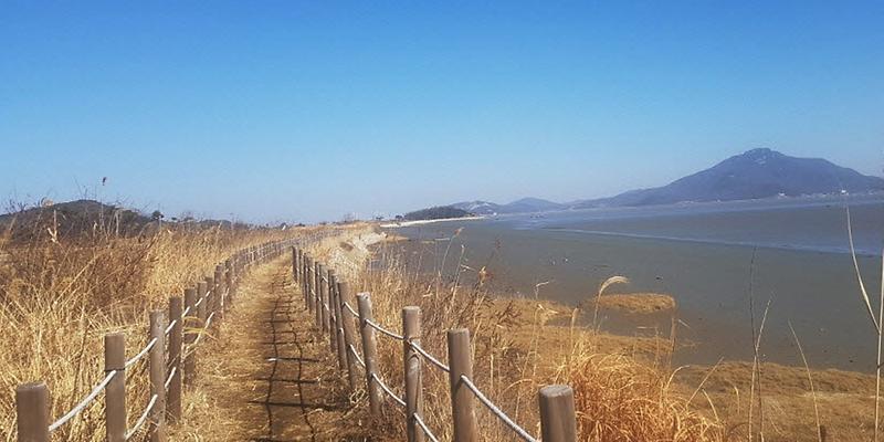 교동도_길_걷기_행사3