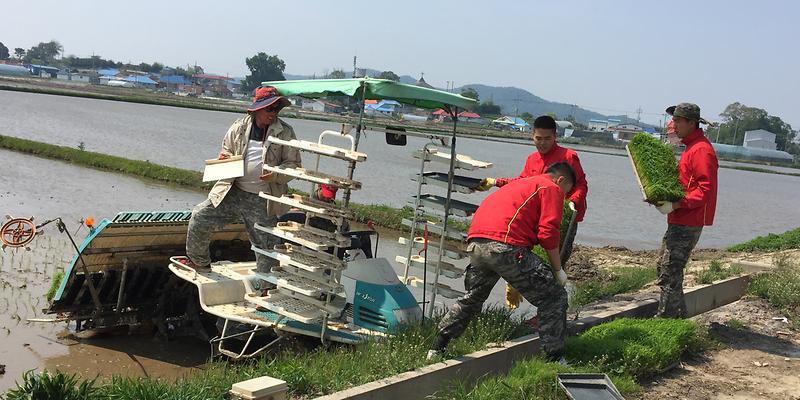 해병대_대민지원_(교동1)