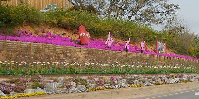 하점농협_앞_꽃길_조성