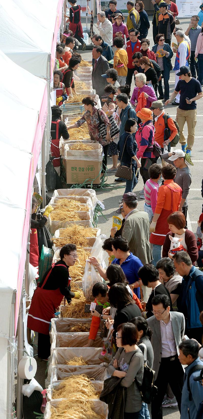 인삼축제01