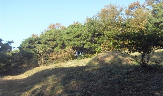 입목벌채_규제완화