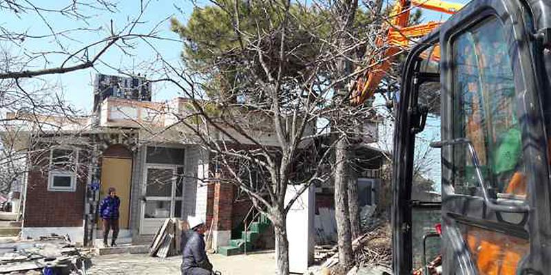 재해위험_수목_제거1