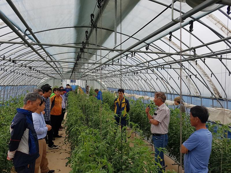 작목별_전문기술_교육(토마토_수경재배_심화교육)