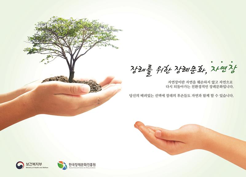자연장1