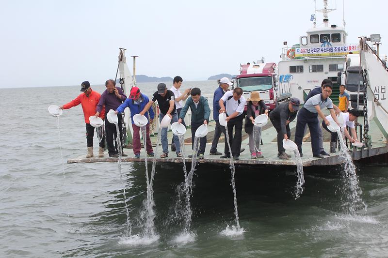 꽃게_치게_방류