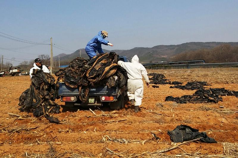 농촌폐비닐_수거_지원1