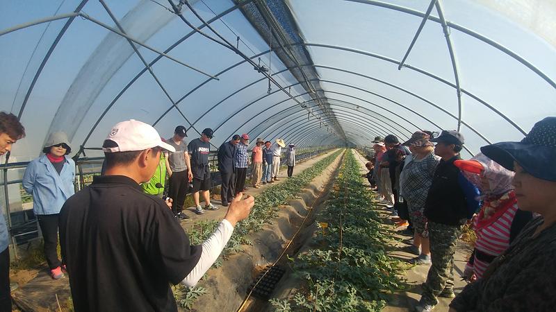 농업대학_현장실습1