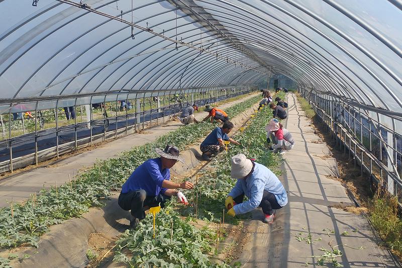 농업대학_현장실습2