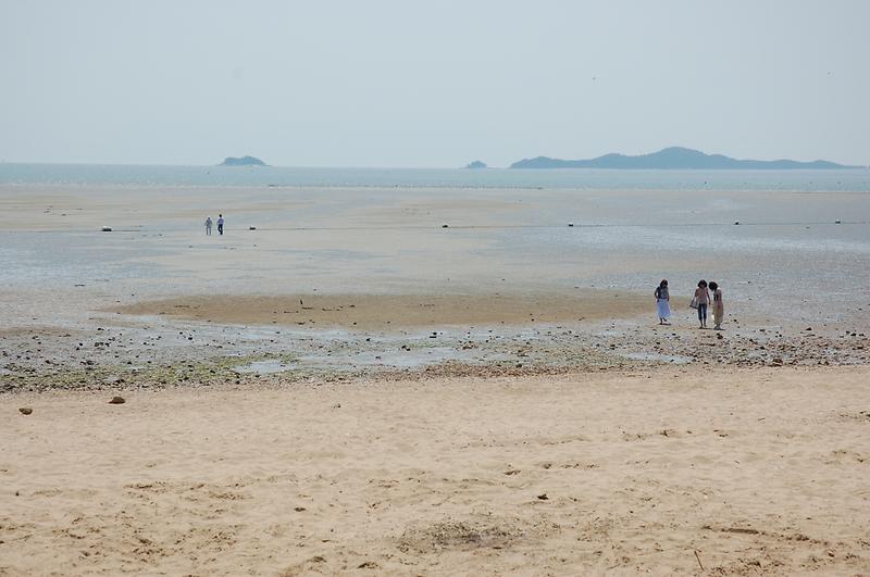 피서철_해변_정비(민머루해변)