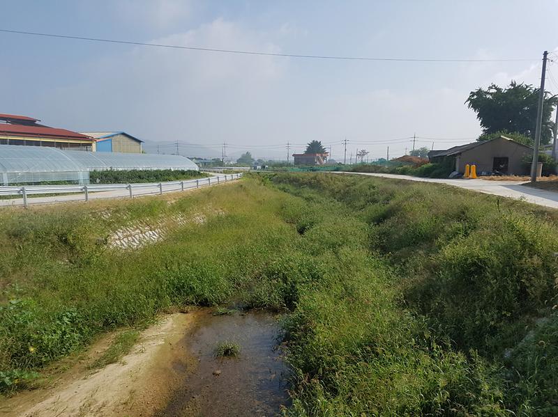 평촌천_전경