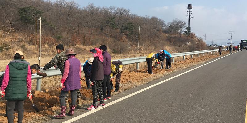 삼산_연산홍_식재