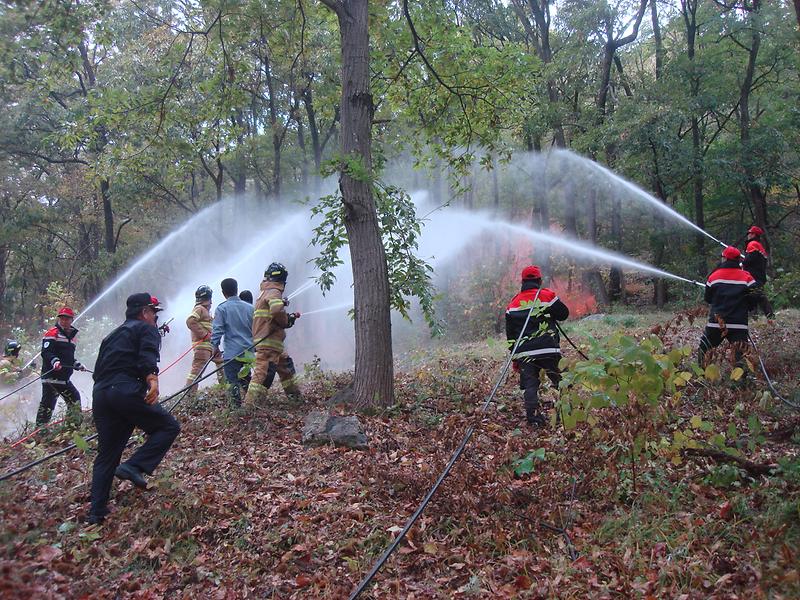 산불_합동진화훈련