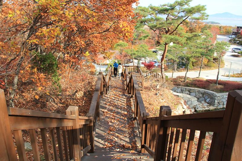 석모도자연휴양림1