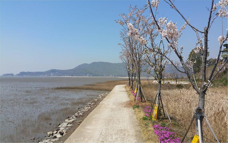 선두리_갯벌마을_(해안나들길)