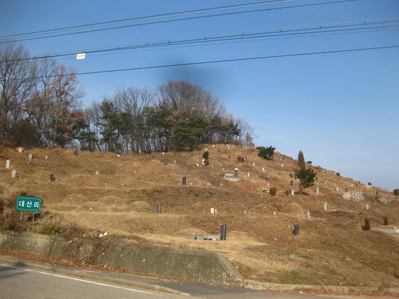 성묘대책2