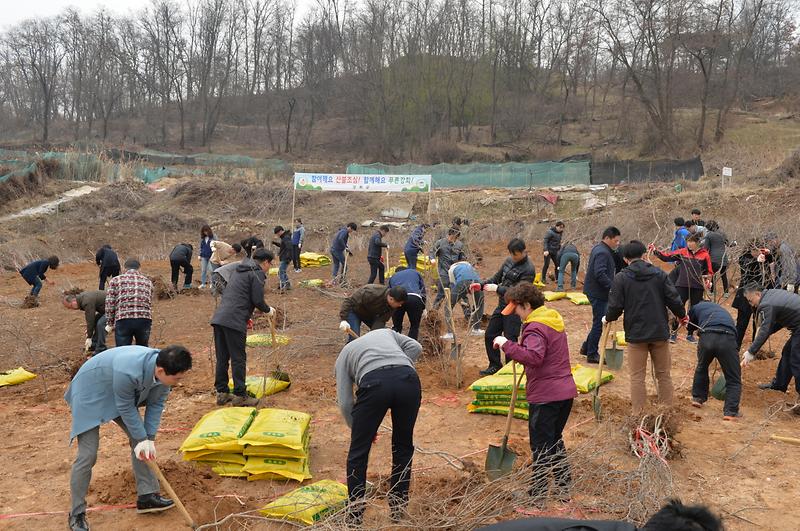 식목행사