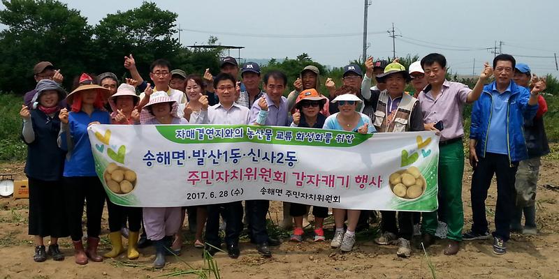 송해면_감자캐기1