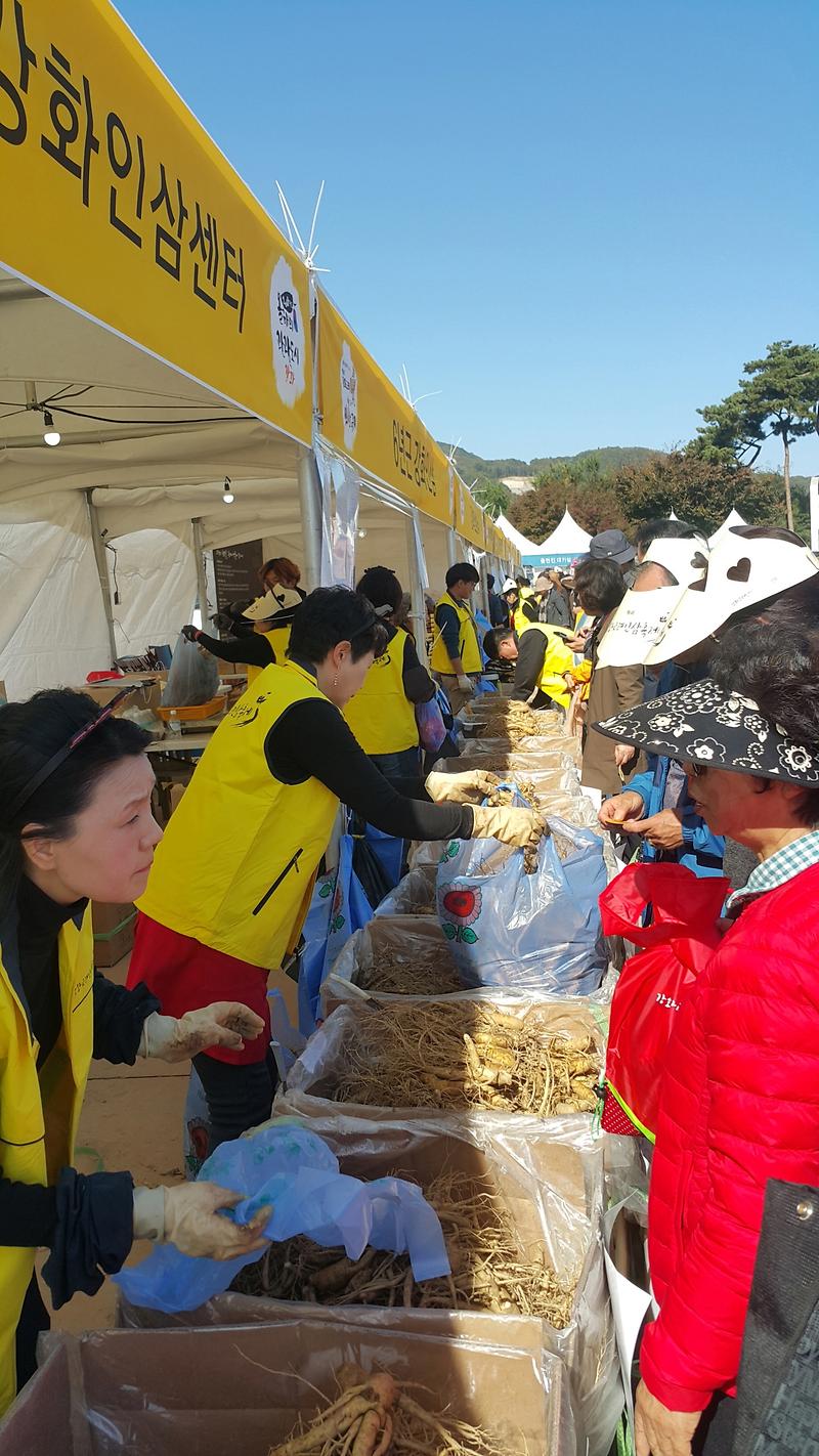 2018_인삼축제_성료1