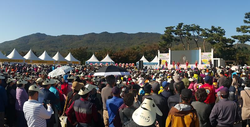 2018_인삼축제_성료2