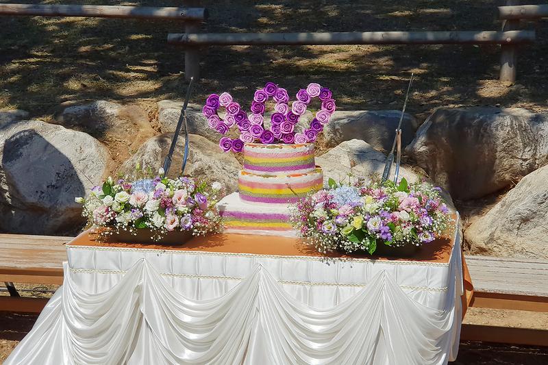 볼음도_은행나무4