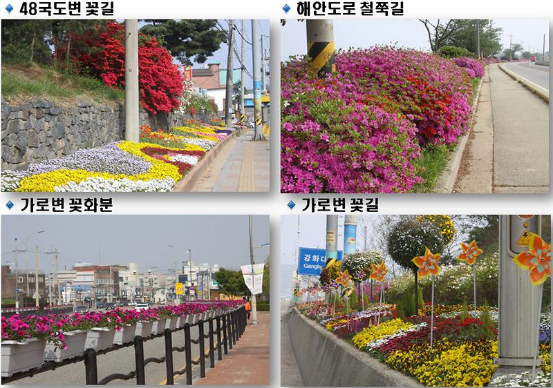 봄꽃_향연1