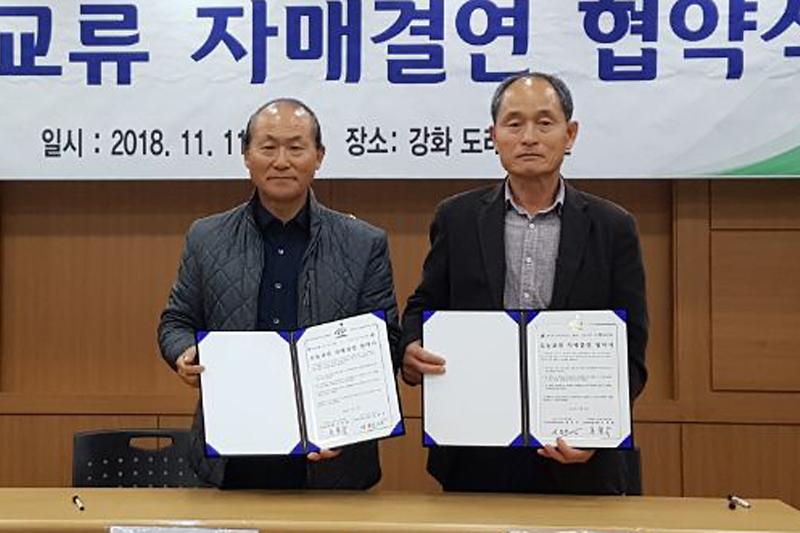 도래미자매결연2