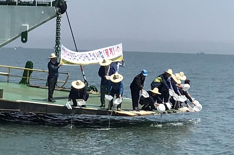 어린꽃게_방류2
