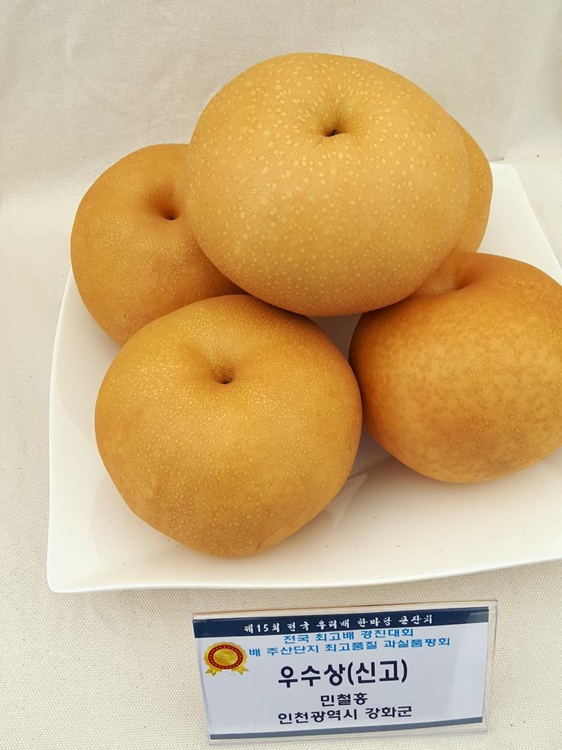 강화_해풍배(민철홍_농가_강화해풍배)