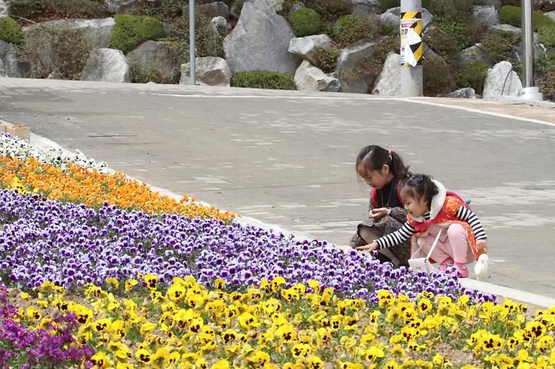 길상초교_앞_화단조성_1