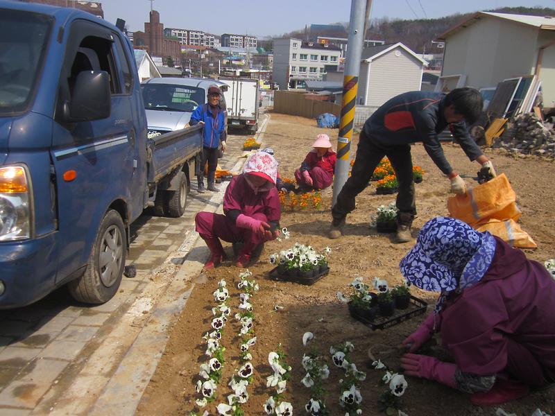 길상초교_앞_화단조성_2