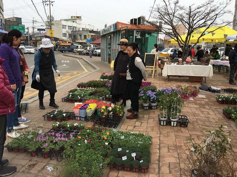 길상면_이웃돕기_꽃시장