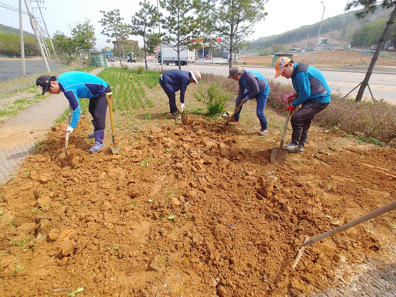 길상면주민자치위원회_화단_조성2