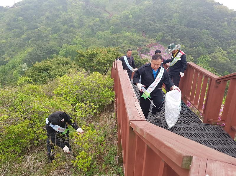 고려산_진달래_군락지_산지정화