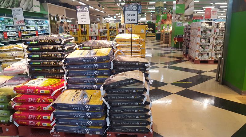 고시히카리_플러스1