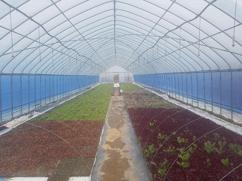 하점면_부근리_양묘장