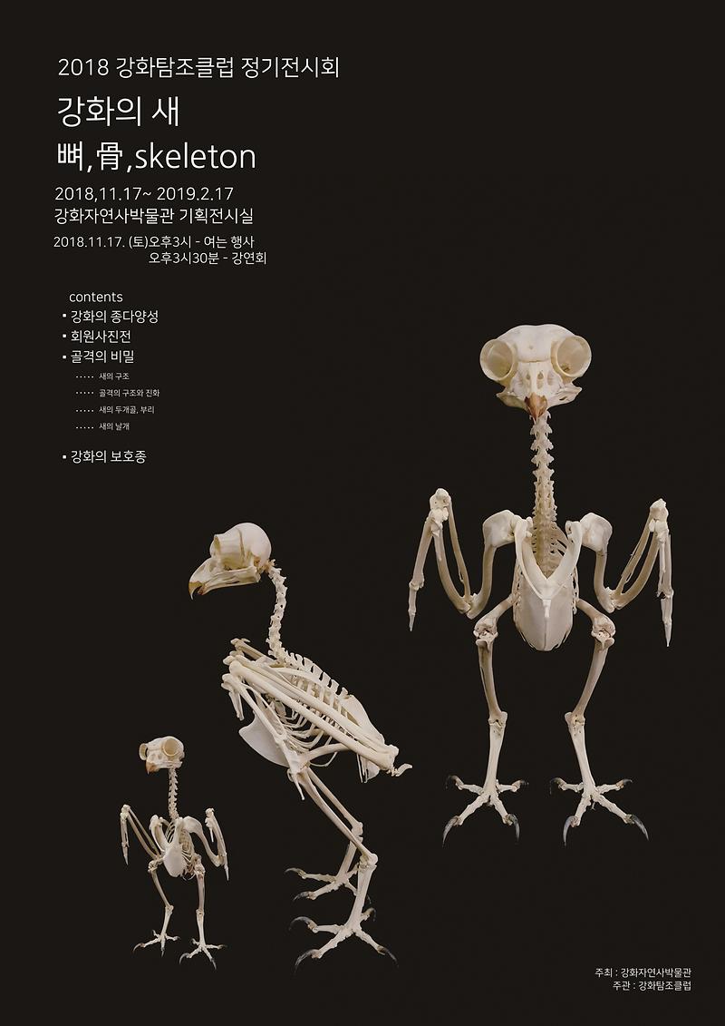 자연사박물관_기획전_포스터1